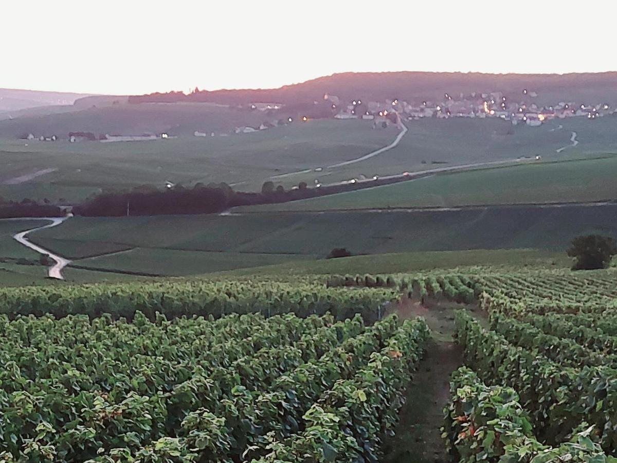 דירות Epernay Capital De Champagne מראה חיצוני תמונה