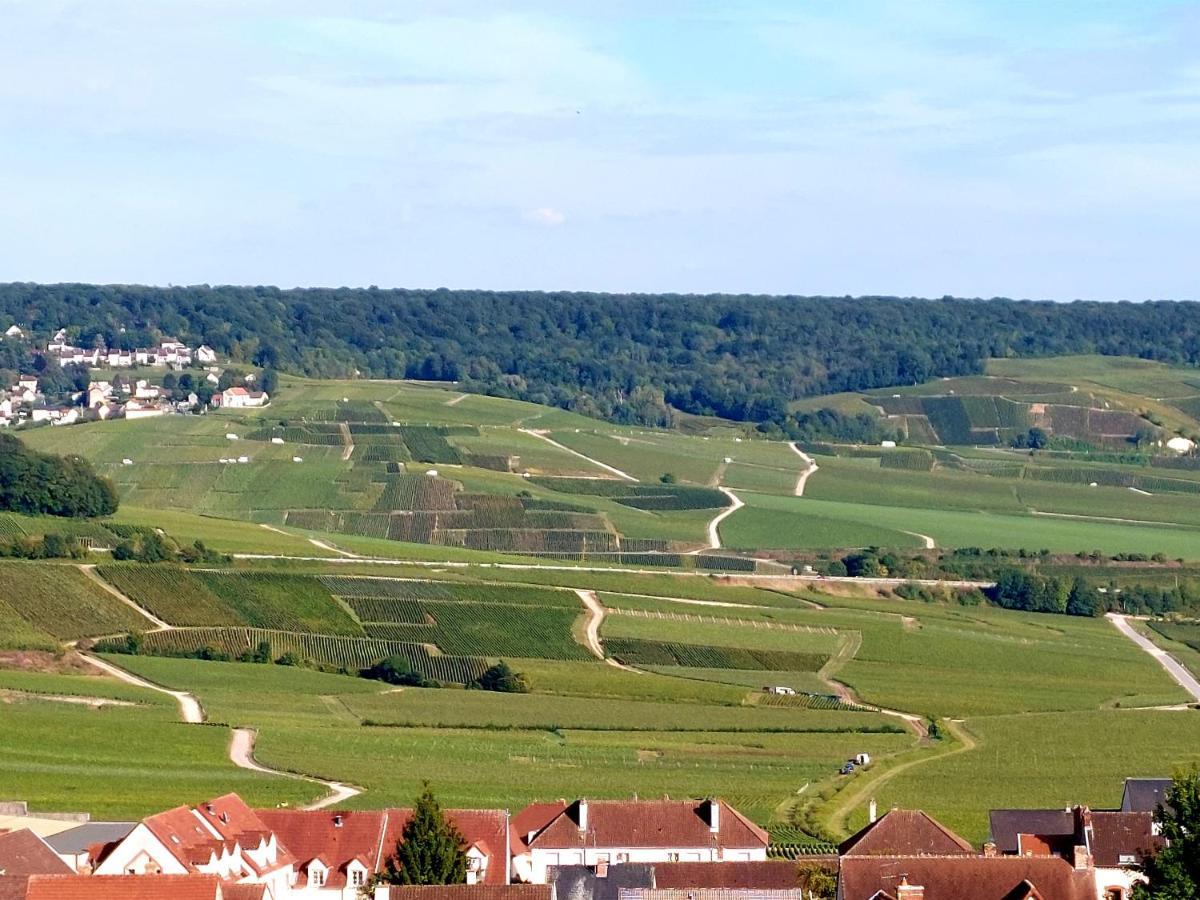 דירות Epernay Capital De Champagne מראה חיצוני תמונה